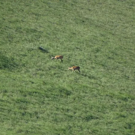 Casa rural Mastro Renzo Tour Naturalistico Enogastronomico *