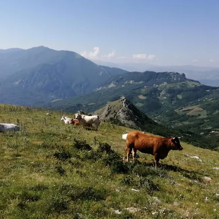 Mastro Renzo Tour Naturalistico Enogastronomico Casa rural *