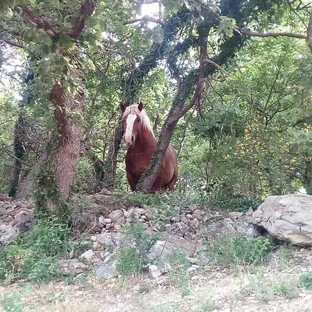 Mastro Renzo Tour Naturalistico Enogastronomico Pescosansonesco