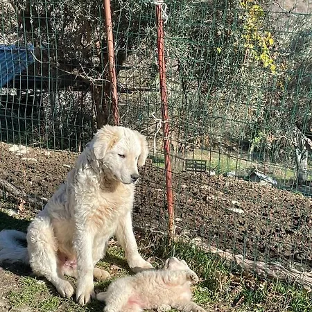 Mastro Renzo Tour Naturalistico Enogastronomico Casa rural Pescosansonesco