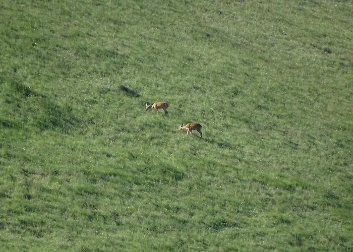 Casa rural Mastro Renzo Tour Naturalistico Enogastronomico *