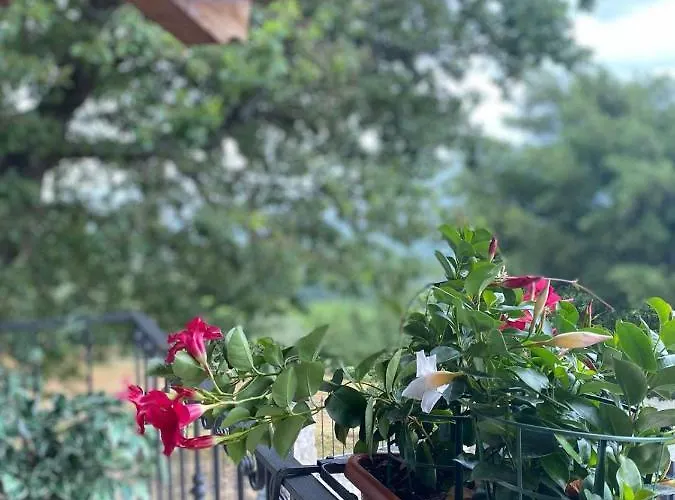 Mastro Renzo Tour Naturalistico Enogastronomico Landhaus *