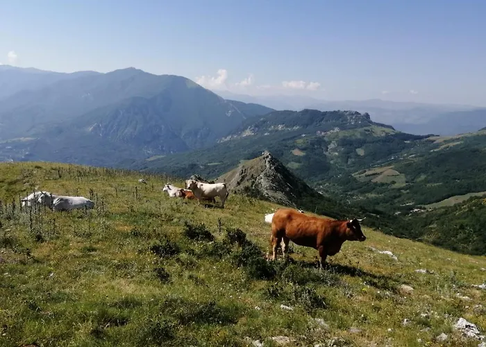 Mastro Renzo Tour Naturalistico Enogastronomico Casa rural *