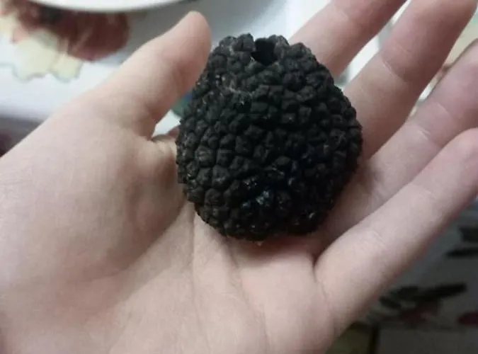 Mastro Renzo Tour Naturalistico Enogastronomico Casa rural *