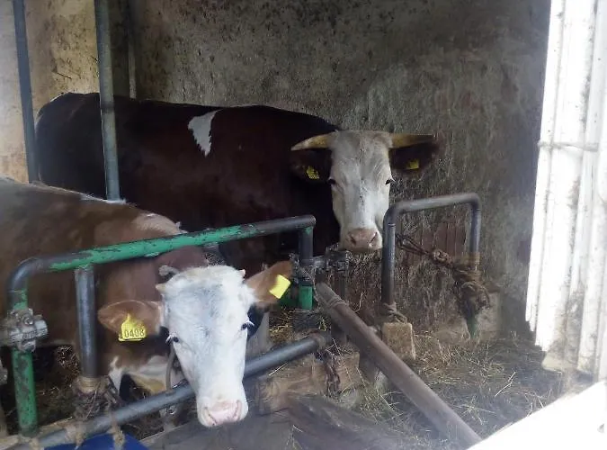 Mastro Renzo Tour Naturalistico Enogastronomico *