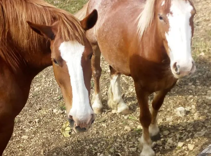 Casa rural Mastro Renzo Tour Naturalistico Enogastronomico Pescosansonesco