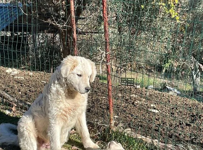 Mastro Renzo Tour Naturalistico Enogastronomico Casa rural Pescosansonesco